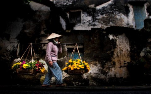Phố của tôi